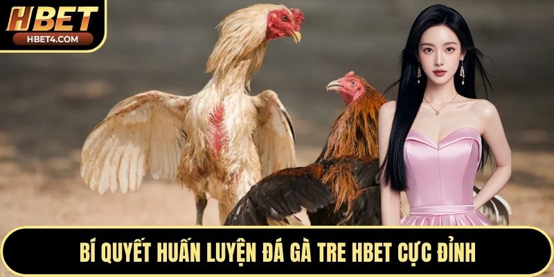 Bí quyết huấn luyện đá gà tre Hbet cực đỉnh