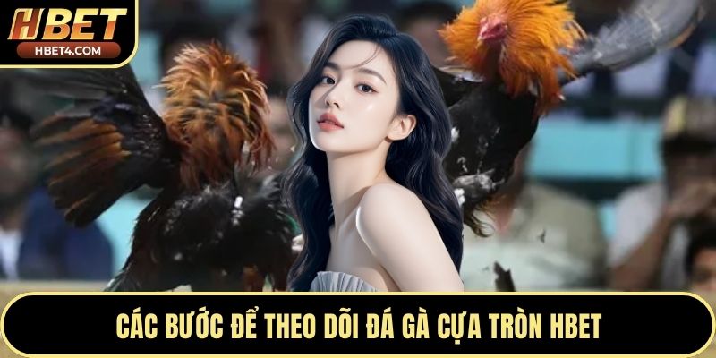 Các bước để theo dõi đá gà cựa tròn Hbet