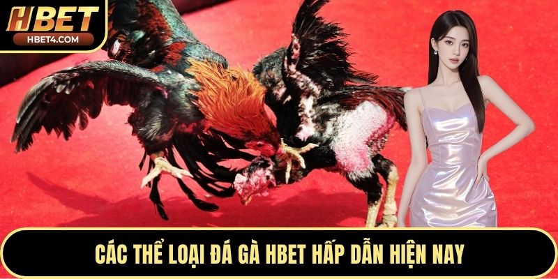Các thể loại đá gà Hbet hấp dẫn hiện nay