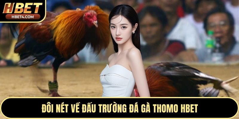Đôi nét về đấu trường đá gà Thomo Hbet