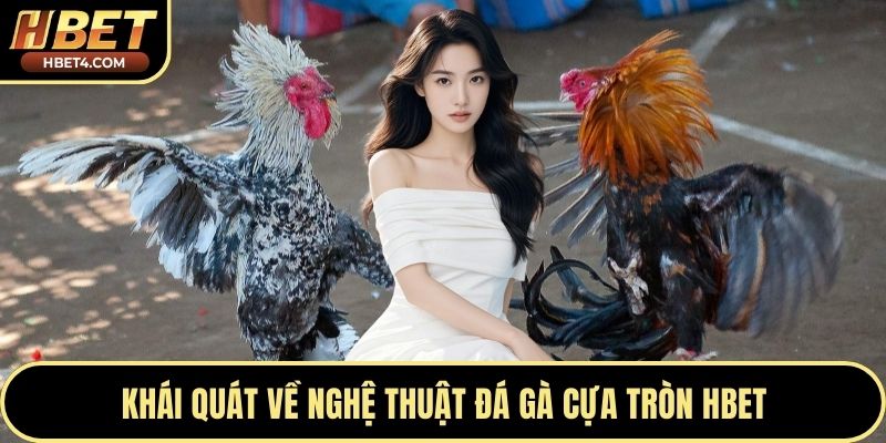 Khái quát về nghệ thuật đá gà cựa tròn Hbet