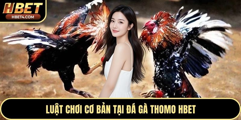 Luật chơi cơ bản tại đá gà Thomo Hbet