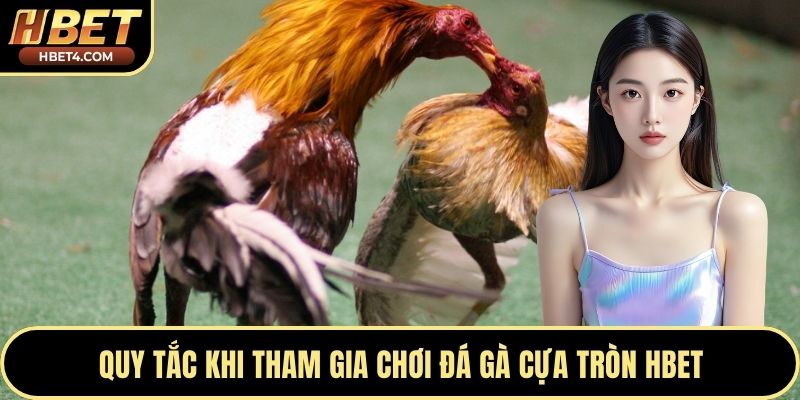 Quy tắc khi tham gia chơi đá gà cựa tròn Hbet