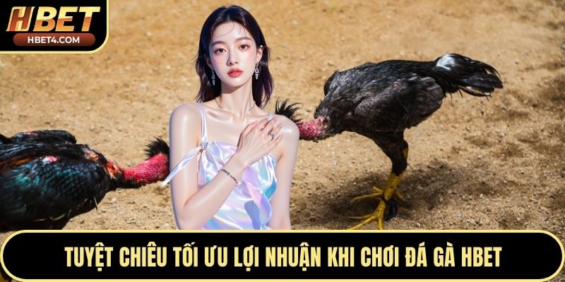 Tuyệt chiêu tối ưu lợi nhuận khi chơi đá gà Hbet